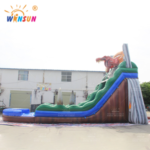 Tobogán Acuático Inflable de PVC WINSUN con Forma de Dinosaurio para Parques de Diversiones al Aire Libre - Product Image 3