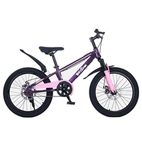 Nouveau vélo BMX 20 pouces avec pneus haute performance, haut-parleurs Bluetooth sans fil et cadre LED clignotant pour enfants et adolescents