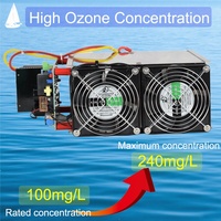 50g/h Hochkonzentrierte Keramik-Ozonplatte Ersatzteile für Ozongenerator