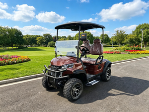 Carrito de Golf para 2 Personas, Operación Sencilla, Asientos Espaciosos, Carro de Golf Resistente para Clubes de Golf y Villas, para Carreteras No Públicas - Product Image 1
