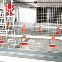 Système de cage d'élevage de volailles de type H pour l'élevage automatique des poussins avec un design multi-niveaux pour gagner de la place