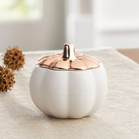 Citrouille blanche en céramique pour pot de bougies parfumés, stylo blanc, décoration d'automne polyvalent, de 14 pièces