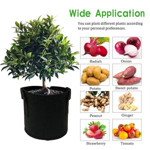 Banane Dalles Hessian Jardin Pomme Mangue Sac En Papier Pour Les Fruits Poussent - Product Image 4
