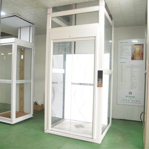 CE sertifikalı 300KG hidrolik otomatik Motor ev tipi asansör 2-4 kat iç ve dış engelliler için otel Villas için - Product Image 6