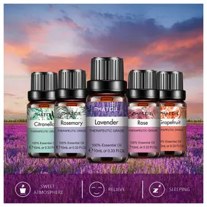 10ml phatoil campione gratuito lavanda menta piperita Tea Tree diffusore di Rose set di oli essenziali 10ml di olio essenziale biologico naturale