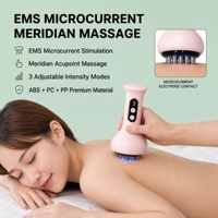 Masseur intelligent sans fil à micro-courant pour le corps entier, traitement par peigne méridien, alimentation USB au lithium