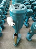 DB gros pompe à eau de refroidissement immergée auxiliaire verticale de haute qualité 50w 0.15a 2800rmp