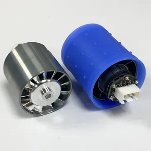 Cabelo secador Motor Brushless Gearbox Motor AC220 DC310 para cabelo elétrico secador T-DA Factory E-BL2946-D310-031 AC220-DC310 10000rpm