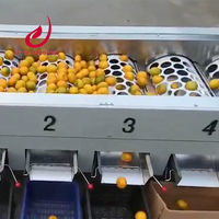 Groentefruit Classificator 1000 Kg/u Aardappelui Sorteermachine Sorteermachine Prijs
