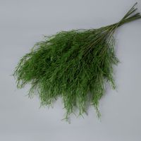 Tanaman Hias Asparagus Fern Buatan Grosir, Daun Hijau yang Dapat Dibengkokkan untuk Dekorasi Pernikahan Bertema Hutan