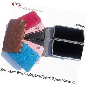 2020 Nieuwe Mooie Wimper Extension Pincet Glitter Case Krijgen Magneet Case Lege Case