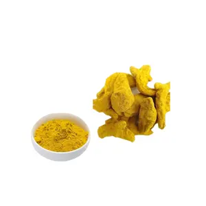 Prezzo di fabbrica estratto di radice di curcuma solubile in acqua di vendita caldo 95% polvere di curcumina