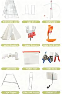 Jaulas semiautomáticas para pollos al por mayor de fábrica, jaulas de cría tipo H de 4 niveles para granjas avícolas - Product Image 6