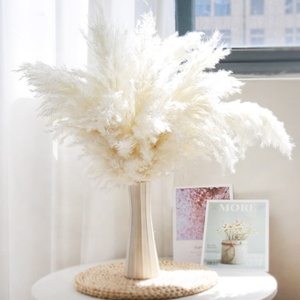 Herbes de la Pampa <span class=keywords><strong>Séchées</strong></span> et Colorées, Petits Roseaux Immortels pour Décoration Maison, Mariage, Noël, DIY - Product Image 3