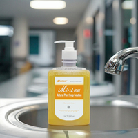Savon liquide naturel pour le lavage des mains à base de plantes, écologique et biodégradable