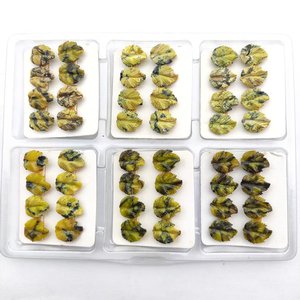 OEM Usine Prix article À La Main Serpentine Avec Quartz L4 12x10mm Pierre de Couleur Vert Style Individuel Feuille Pour Collection - Product Image 4