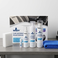 Kit d'entretien automobile OEM sous marque privée : Nettoyant et revitalisant pour cuir intérieur de voiture, kit de nettoyage en mousse pour canapé en cuir véritable