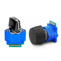 Interruptor codificado BENLEE buen precio para máquina CNC/NC OEM/ODM distintas posiciones interruptor de código gris