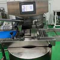Machine de trempe automatique par lots LST 25/60/100L machine de trempe au chocolat de haute qualité à vendre