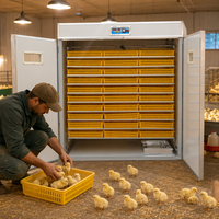 Incubateur de poulet 5280 œufs, Stock de haute qualité, Machine pour œufs en afrique du sud, entièrement automatique