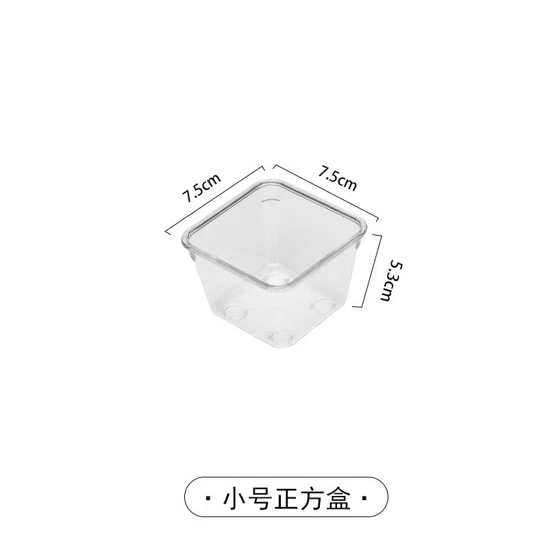 Dot Box [Small Size S]