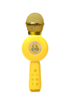 Microphone sans fil professionnel éducatif pour filles et enfants avec connecteur Type C - Jouet musical portable rechargeable
