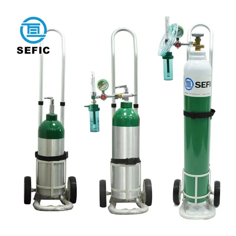 SEFIC Portatile di Ossigeno Bombola di Gas Bombola di ossigeno Medica Oxigen Cilindro di Alluminio Bombole di Gas con Trolley