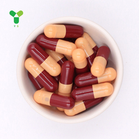 Capsules vides personnalisées de qualité pharmaceutique, solubles dans l'estomac, certifiées GMP Halal, végétariennes, HPMC