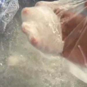 SLES 2EO <span class=keywords><strong>70</strong></span>% Sulfato de éter laurílico de sodio - Product Image 1