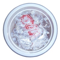 Glacière à roulettes en plastique HS avec poignée pour le camping, seau à glace d'extérieur avec roues pour garder les articles au frais, boîte de conservation