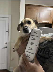 XANAXa giocattoli da masticare per animali domestici all'ingrosso Chill Pup divertente giocattolo per cani parodia di peluche cigolante giocattolo per cani - Product Image 4