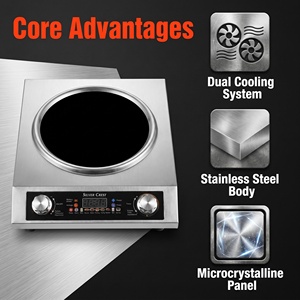 Placa de Cocina Eléctrica Infrarroja Multifuncional con Ventiladores Dobles, Cable de Alimentación de Cobre Puro y Acero Inoxidable, <span class=keywords><strong>para</strong></span> Hogar y Hotel (Estándar Alemán) - Product Image 4