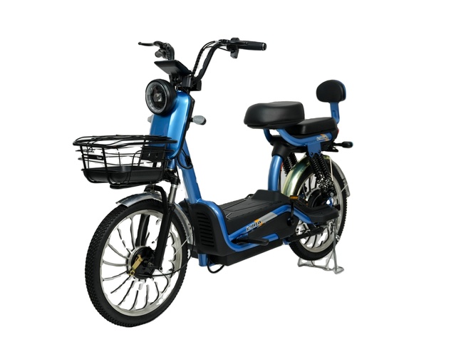 Electric Bicycles Electric Bikes Adult 20 Inch Large Wheel E-Bike Brushless Motor 500W Lead Acid Battery Electric Scooter