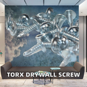 สกรูยึดผนังยิปซัมแบบกำหนดเอง เหล็ก C1022 หัว Torx Truss สำหรับงานไม้ กล้องซ่อนในตัว เคลือบไนลอน เจาะเองได้ เกลียวละเอียด ผลิตในเวียดนาม - Product Image 5