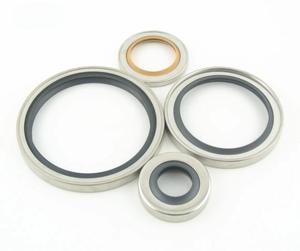 DLSEALS 싱글 립 오일 씰 스테인리스 스틸 60*80*12 <span class=keywords><strong>PTFE</strong></span> - Product Image 3