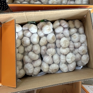 Siêu Trắng Tươi Tỏi Và Gừng Ail Hành Tây Bán Buôn Mua Trung Quốc Tươi 6.0Cm Tỏi Ajo Giá Xuất Khẩu Trung Quốc - Product Image 2