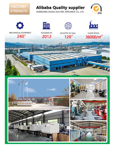 ZL-F027 Sceau inviolable en plastique à tension de fil en acier inoxydable de 16 mm, adapté aux sceaux de sécurité à torsion pour compteurs de gaz - Product Image 6