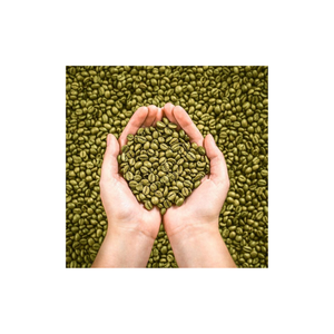 Café du Vietnam Meilleur vendeur Café vert Arabica Grains de café Haricots de polissage humides Approvisionnement du Vietnam Usine Échantillon gratuit - Product Image 1