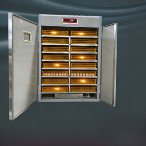 Vente directe d'usine, incubateur à œufs de 5000 œufs et incubateur solaire pour œufs pour les écloseries commerciales. - Product Image 5