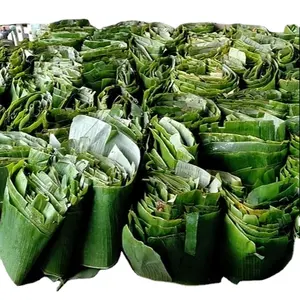 100% NATURAL FRESH BANANA LEAVES - BEST CHOICE THE COMPETITIVE PRICE HOT SUMMER SALE 2023TOP PRODUCTS FROM VIETNAM 2022