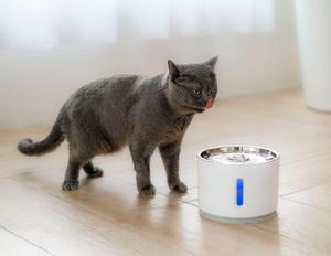 <span class=keywords><strong>Super</strong></span> gato tranquilo fuente <span class=keywords><strong>de</strong></span> agua tapa <span class=keywords><strong>de</strong></span> acero inoxidable dispensador para <span class=keywords><strong>mascotas</strong></span> - Product Image 4