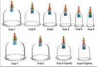 Ventouses Tasses de thérapie Ventouses sous vide en plastique Ventouses jetables pour massage corporel Ventouses Dispositif de ventouses intelligent