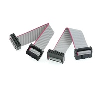 Câble d'alimentation Eurorack, câble ruban IDC isolé en PVC, 10 broches, câbles modulaires pour synthétiseur - 25 cm