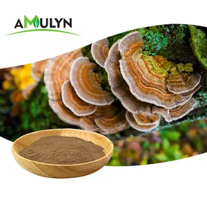 AMULYN 대량 도매 유기농 칠면조 꼬리 버섯 추출물 분말 다당류