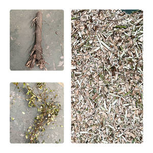 Déchiqueteuse d'herbe/maranta Arundinacea/<span class=keywords><strong>casava</strong></span>/casawa électrique et diesel - Product Image 5
