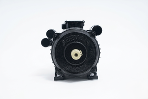 Motor de Inducción Monofásico de Servicio Pesado BI-3-CH 3HP 2.25KW 210-230V 18A 1440RPM 115mm con Marco CSCR TEFC y Soporte de Hierro Fundido - Product Image 3