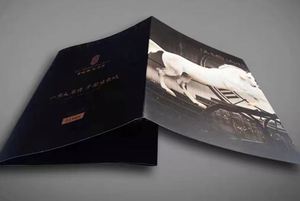 Custom Instruction Manual Promotional Folded Flyer <b>Leaflet</b> Brochure Pamphlet - Product Image 6