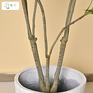 <b>Artificial</b> Bamboo <b>Tree</b> 210cm High Simulation Leaves Indoor Floor Plant Decorative Greenery - Product Image 4