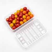 Barquette alimentaire rectangulaire en plastique PET transparent, épaisseur 0,3 mm, pour salades, tomates cerises, champignons, pois, brocoli - Vente en gros