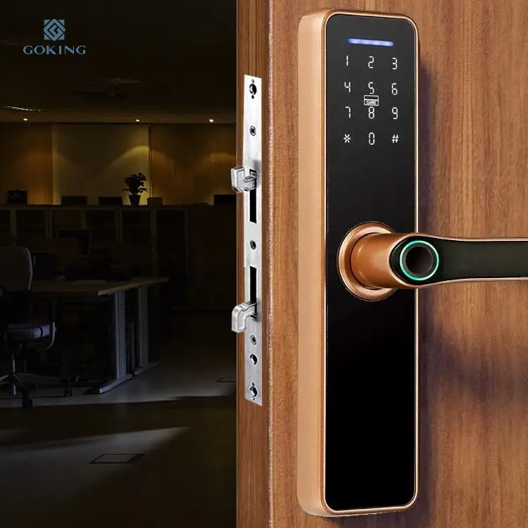Водонепроницаемый цифровой замок GOKING со сканером отпечатков пальцев, умный дверной замок с защитой от кражи, интеллектуальная бесключевая входная дверь для дома